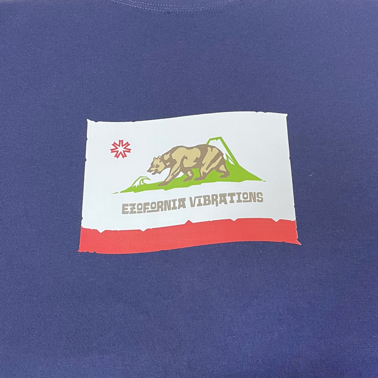 Ezofornia Vibrations Tshirt